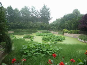 淺析園林綠化工程雨季和夏季施工措施 好養護