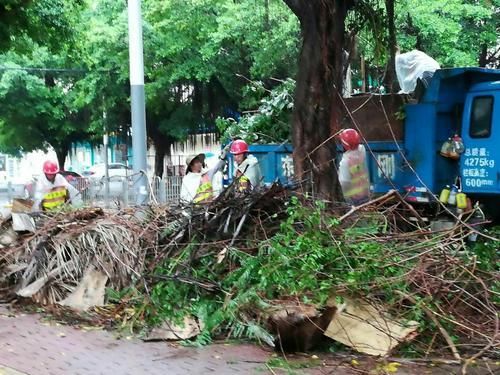 園林綠化廢棄物再利用的方式整理研究
