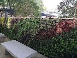 園林綠化工程施工五大細節 園林人必備