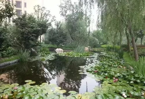 這些園林綠化工程施工技術規范,值得你花時間學習一下