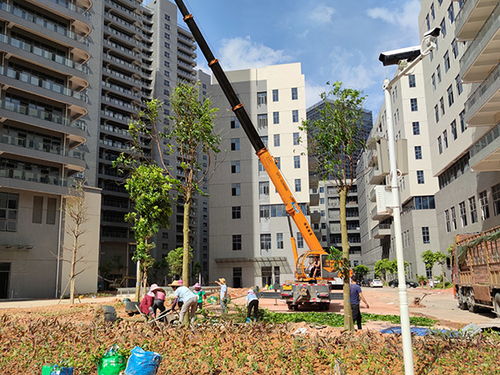 園林綠化的施工要點