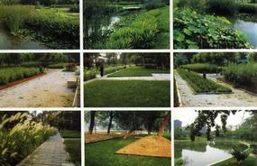 各種綠化、景觀鋪裝工程的設計與施工,園林綠化工程的養護;園林綠化苗木、草皮、花卉的種植,銷售(廣西南寧)_CO土木在線