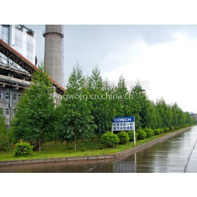 景觀設(shè)計(jì)_園林綠化_綠化養(yǎng)護(hù)_苗樹(shù)銷(xiāo)售&ndash;【上海宗沃景觀工程】